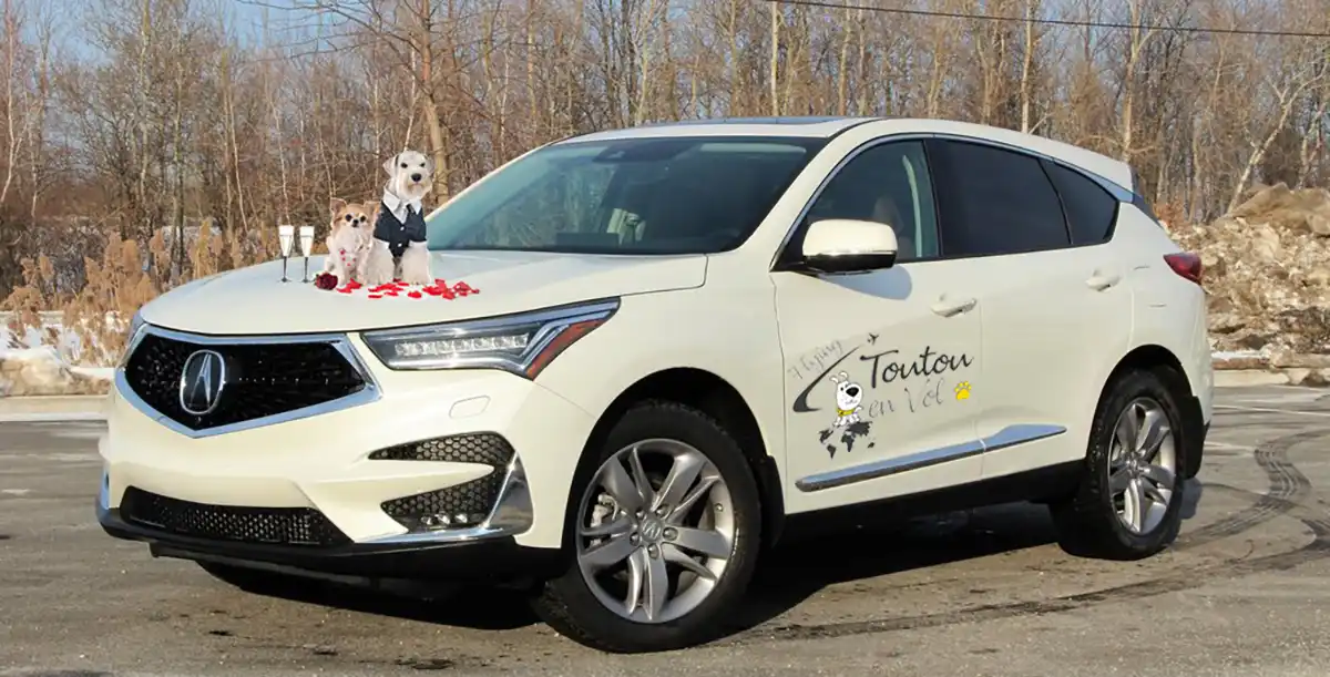 flyingtoutou navette