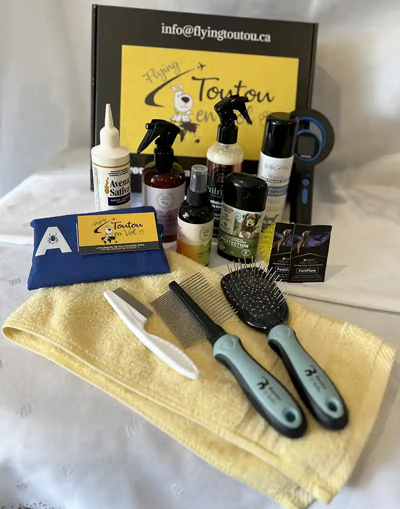 flyingtoutou sécurité