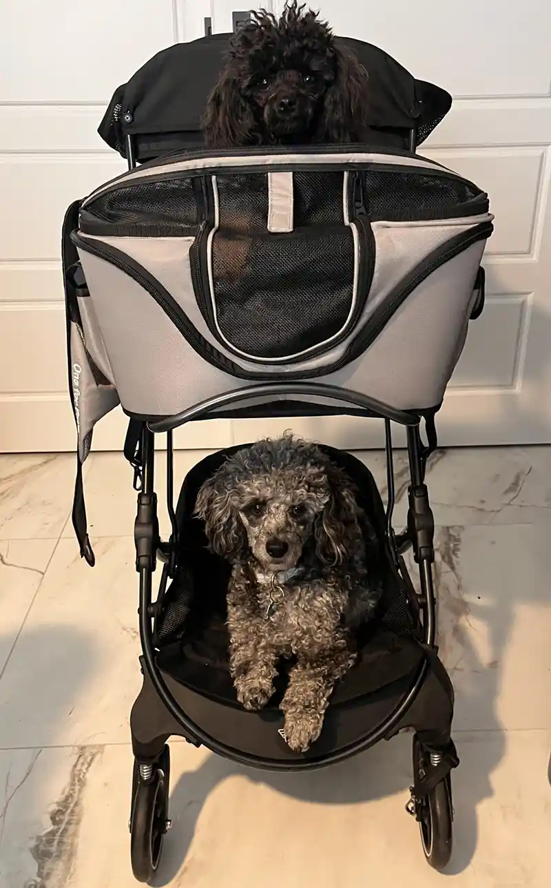 flyingtoutou transport-1