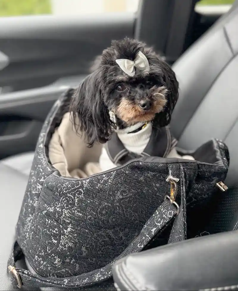 flyingtoutou transport-2