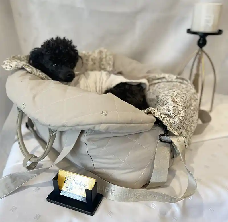 flyingtoutou transport-4